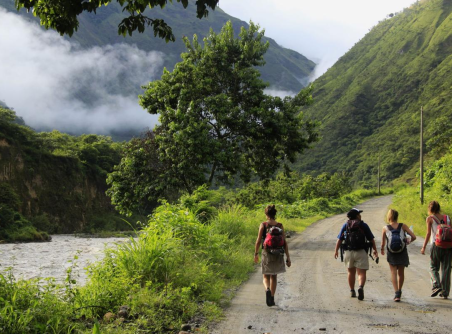 Tree House Chiang Dao Homestay + E-co Trek and Sticky Waterfall 2D1N