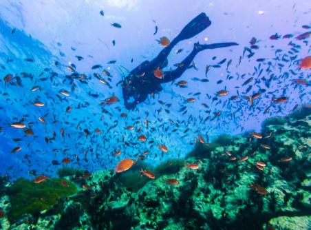 Exotic Island of Koh Samui, Koh Tao and Koh Phangan 5 Days 4 Nights