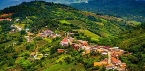 Day 8: Chiang Mai – Doi Mae Salong – Chiang Rai (B)