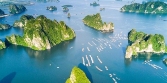 Day 7: Hanoi – Ha Long Bay Cruise (B, L, D)  English speaking guide onboard