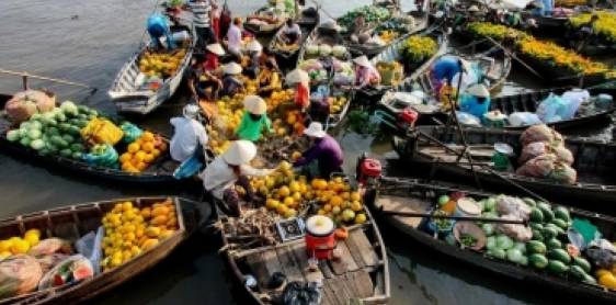 Day 13: Can Tho – Cai Be – Saigon (B, L)