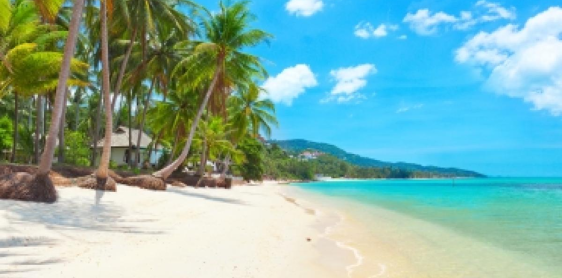 Day 14: Koh Samui Beach Free and Easy (B) No Guide no driver