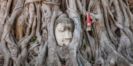 Day 5: Ayutthaya Historical Park – Bangkok – Flight to Chiang Rai (B) No Guide in Chiang Rai