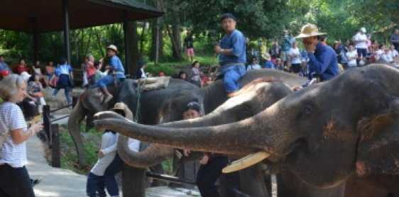 Day 3: KAREN HILL TRIBE VILLAGE – BAMBOO RAFTING – CHIANG MAI (B/L/-) (-)