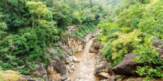 Day 10: Chiang Mai  - Discover Tribal Villages & Artisans Experience (B,L)