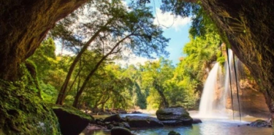 Day 1: Bangkok – Khao Yai National Park