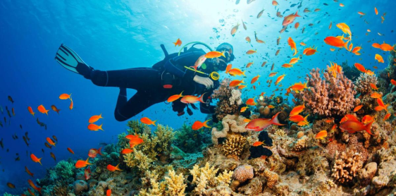 Day 11: Phu Quoc beach free & easy (B) No guide no transfer