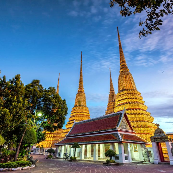 Grand Palace &  Wat Pho half day