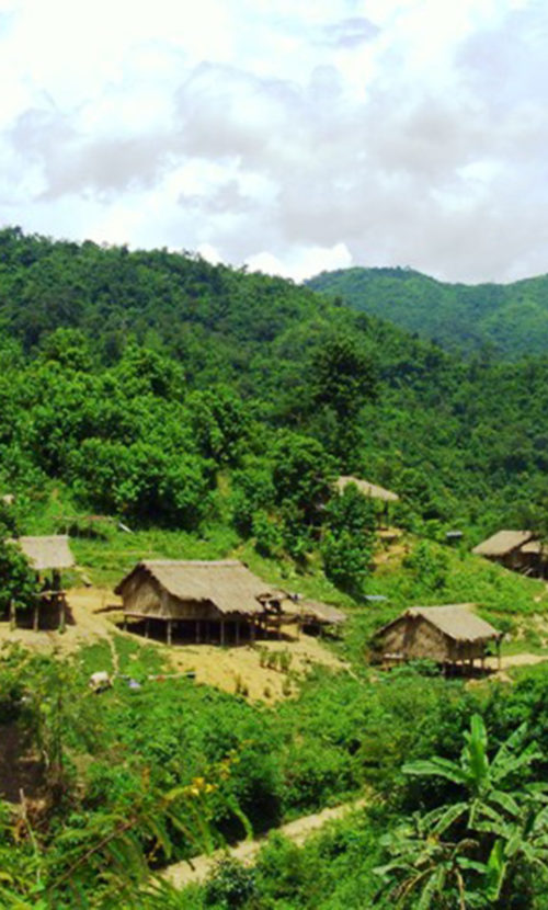 Hill Tribes Trekking in Chiang Rai 3 Days 2 Nights