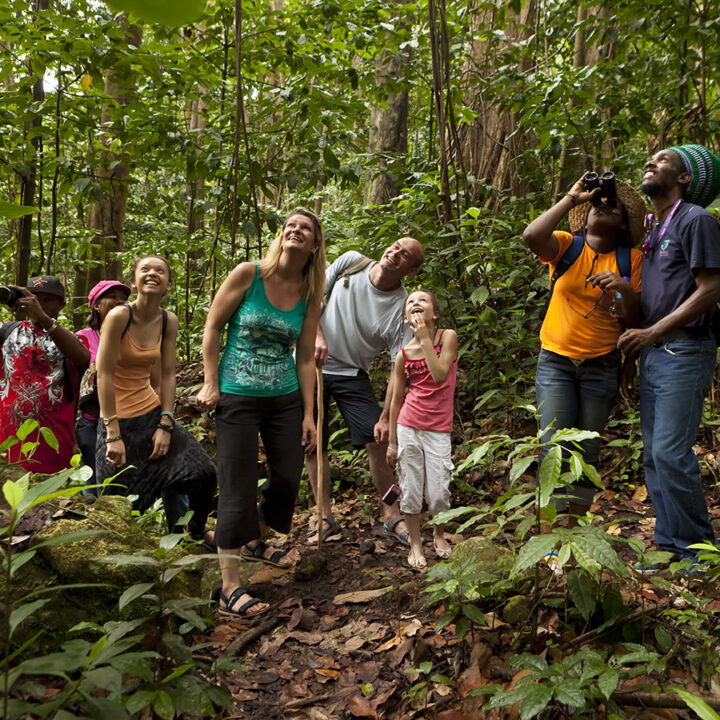 Hill Tribe Treks Of Chiang Mai 3 days