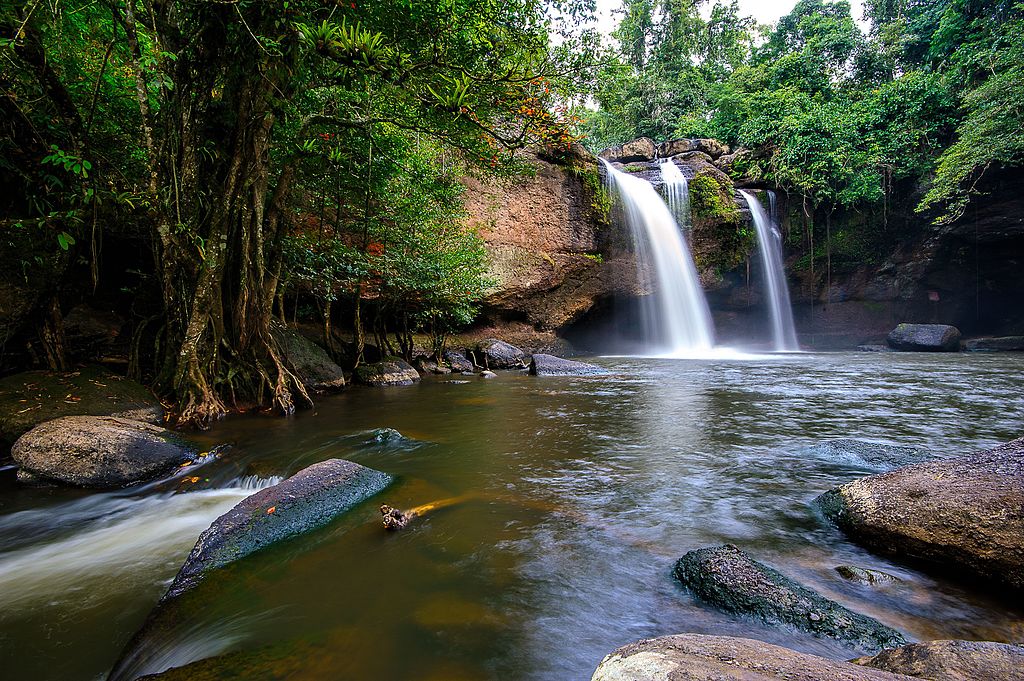 best-places-to-visit-in-thailand-in-november-khao-yai-national-park