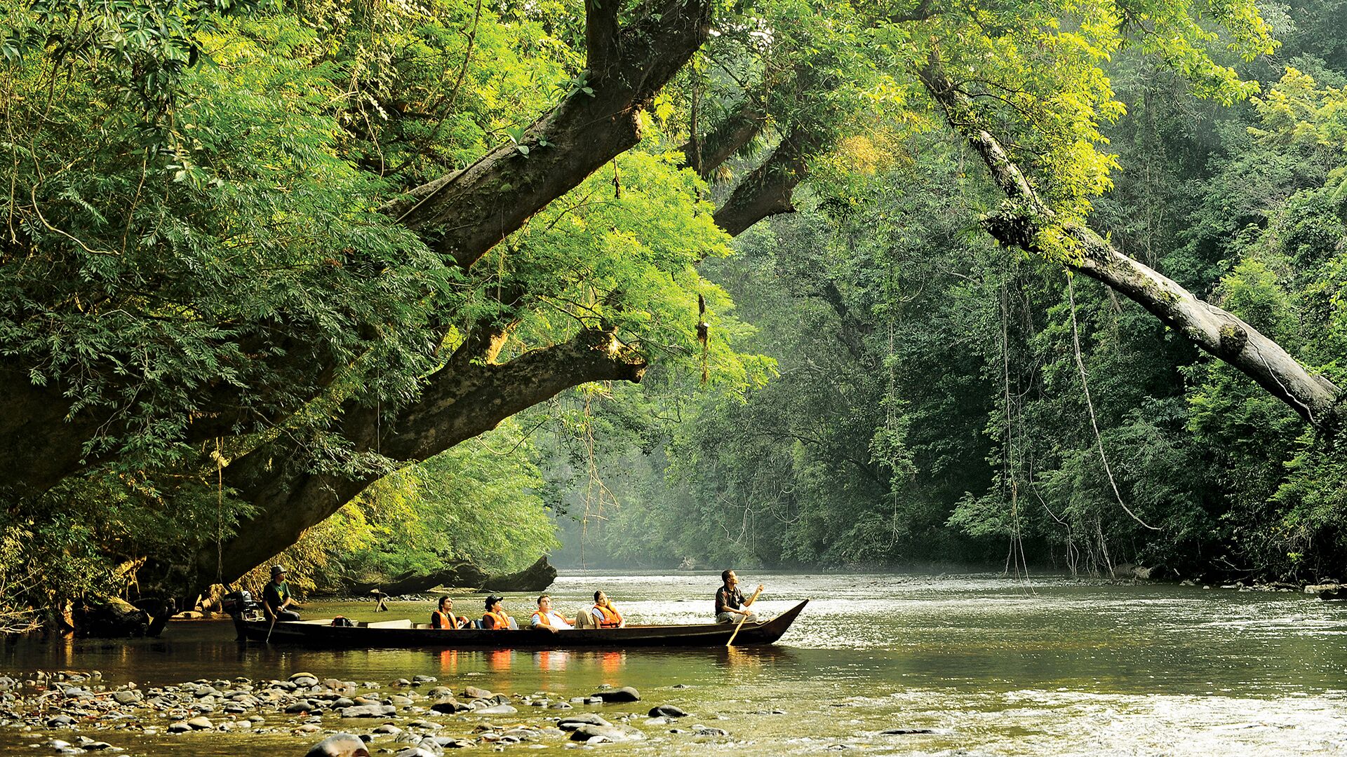 Taman Nagara National reserve in Malaysia