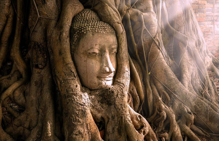 Wat-Mahathat-Buddha-Head-in-Tree-Roots